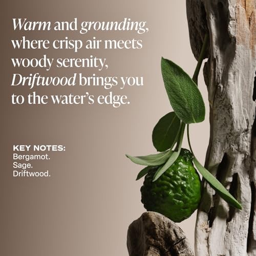 SALTAIR DRIFTWOOD BODY BUTTER