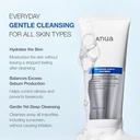 ANUA HYALURON + PANTHENOL CLEANSER