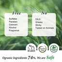 COS DE BAHA ARBUTIN NIACINAMIDE SERUM 