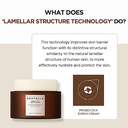 SKIN1004 CENTELLA PROBIOTIC-CICA ENRICH CREAM 